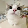 Ava 的头像
