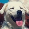 Profilbild von J A C K
