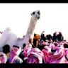 Фото профиля هادي الدوسري