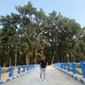 Sourav Pradhan 的头像