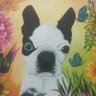 FRIDA's profile picture