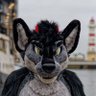 Profilbild von Tanor the Wolf