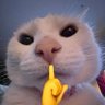 Oswaldo's profile picture