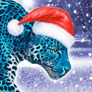 Hibernation's profile picture