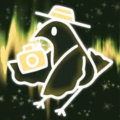 FocusClips's profile picture