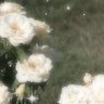 Cloudy Moon's profile picture