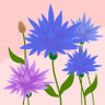 romaissa 99 profil fotoğrafı