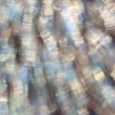 気の迷い's profile picture