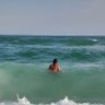 Alison's profile picture
