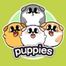 Фото профиля Peke ❤️ puppies