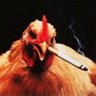 Фото профиля ip 🐐