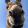 Profilbild von John Diamontopulos