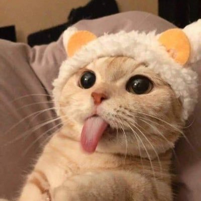 M✨'s profile picture
