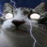 el anzu's profile picture