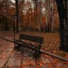 Фото профиля saeed