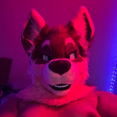 Axltheakita's profile picture