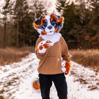 Nikko's profile picture