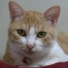 Profilbild von Kat S