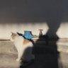 #𝟶𝚏𝟻𝟸𝚋𝚊 profil fotoğrafı