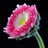 Фото профиля Ivan Yong