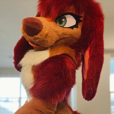 murphy's profile picture