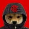 Profilbild von dog flamenguista