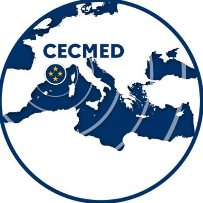Cecmed_Off's profile picture