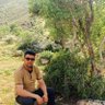 ابراهیم قربانی profil fotoğrafı
