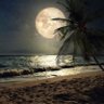 مُلتاع الأفلاك's profile picture