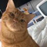 莫強求_二代目 profil fotoğrafı