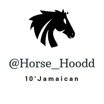horse_hoodd's profile picture