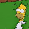 Homer's profile picture