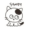 Profilbild von あそ@ฅ^•ω•^ฅニャン㌠㌚㌰㌰