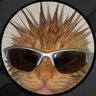 Ayomi's profile picture