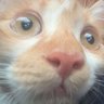 صلي على النبي's profile picture