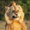 Profilbild von MacTwo