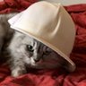 welmur's profile picture