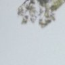 なかたたなか's profile picture