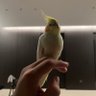 钱先生 profil fotoğrafı
