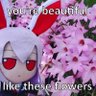 zong Y's profile picture