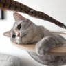티티 profil fotoğrafı