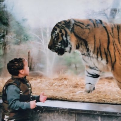 danielxlong's profile picture