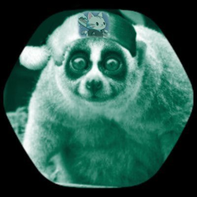 Loris's profile picture