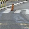 Илија profil fotoğrafı