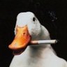 ban profil fotoğrafı