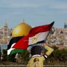مصري مدني 🇵🇸🇪🇬 的头像