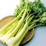 とろろセロリ 的头像