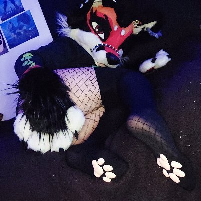 𝕎𝕒𝕥𝕖𝕣𝕞𝕖𝕝𝕠𝕟 𝓕𝓸𝔁 𝔸𝔻🍉⚠ RedrickFox 🐾's profile picture