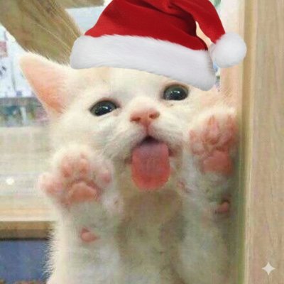 呆橘橘's profile picture