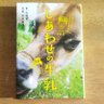 青色 profil fotoğrafı